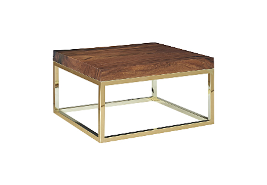 Picture of CHAMCHA WOOD COFFEE TABLE NATURAL, SQUARE, PLATED BRASS BASE