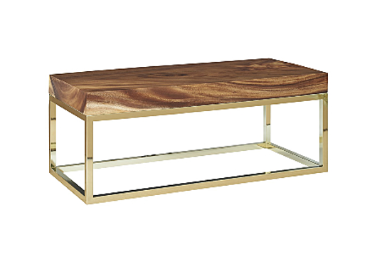 Picture of CHAMCHA WOOD COFFEE TABLE NATURAL, RECTANGLE, PLATED BRASS BASE