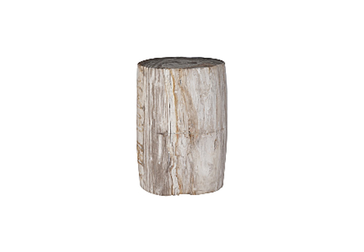 Picture of PETRIFIED WOOD PEDESTAL