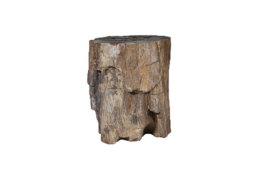 Picture of PETRIFIED WOOD PEDESTAL
