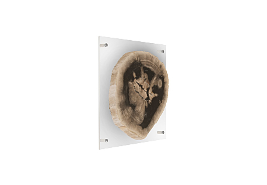 Picture of FLOATING PETRIFIED SLICE WALL ART
