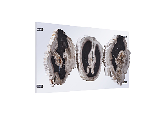 Picture of FLOATING PETRIFIED TRIPLE SLICE WALL ART