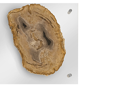 Picture of FLOATING PETRIFIED DOUBLE SLICE WALL ART