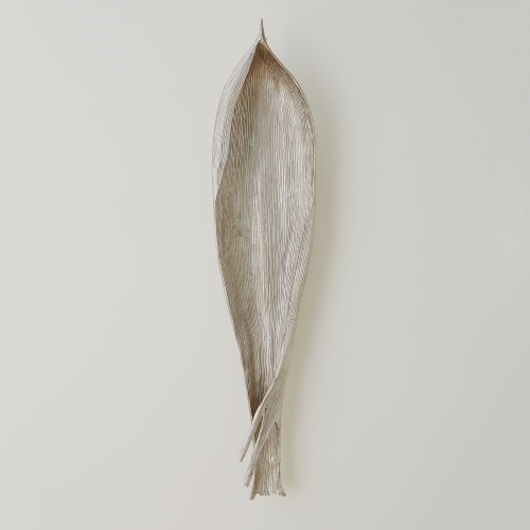 Picture of PALM SEED POD-NICKEL