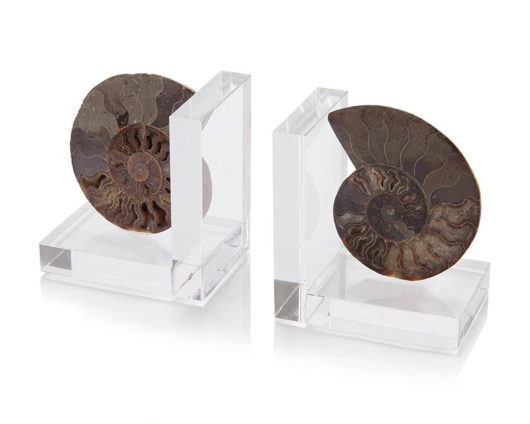 Picture of SET OF TWO AMMONITE BOOKENDS