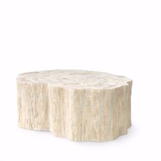 Picture of CAMILLA FOSSILIZED CLAM COFFEE TABLE