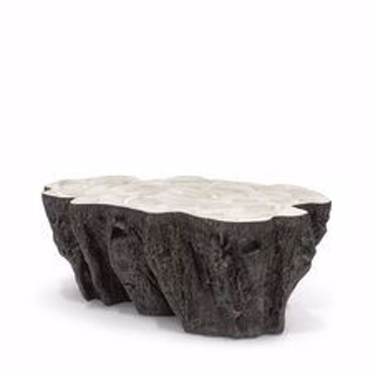 Picture of CHLOE FOSSIL CLAM LAVA COFFEE TABLE