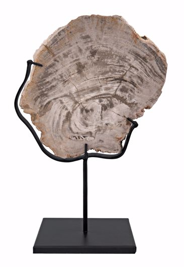 Picture of WOOD FOSSIL WITH STAND, 8"