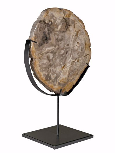 Picture of WOOD FOSSIL WITH STAND, 12"