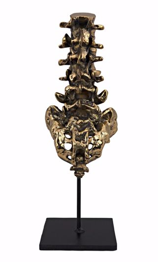 Picture of VERTEBRAE, BRASS AND STEEL