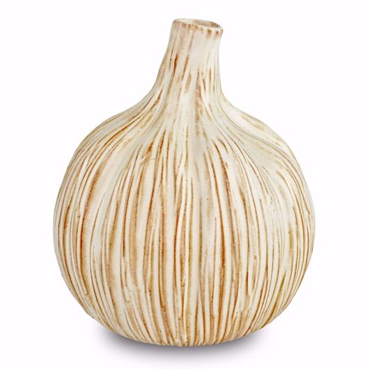 Picture of SMALL GARLIC BULB