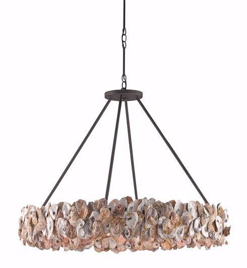 Picture of OYSTER CHANDELIER