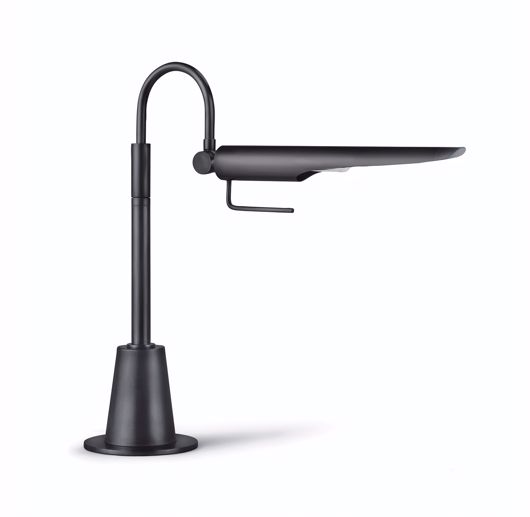 Picture of RAVEN TASK LAMP (OIL RUBBED BRONZE)