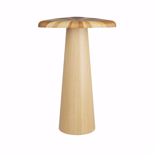 Picture of RUDOLF ACCENT TABLE