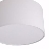 Picture of KAY FLUSH MOUNT
