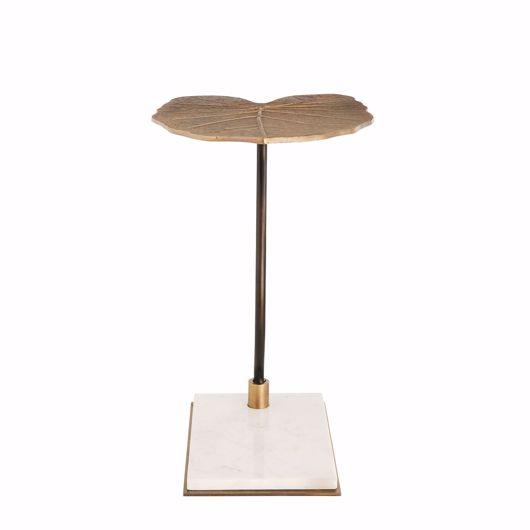 Picture of TENDRIL ACCENT TABLE