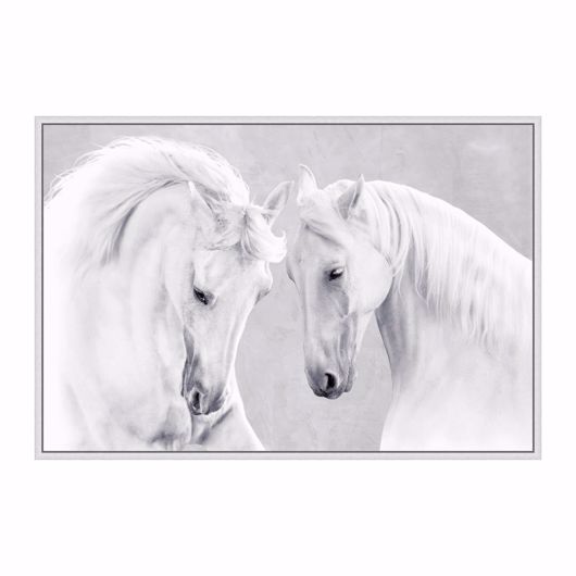 Picture of WHITE STALLIONS